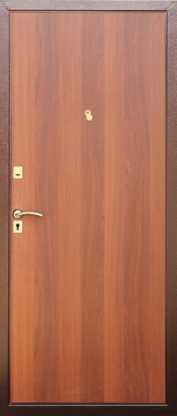 Дверь с порошковым напылением ZK-052