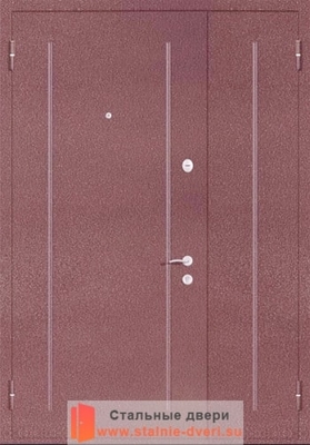 Порошковая дверь с рисунком PR-017