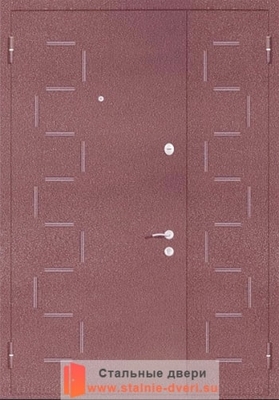 Порошковая дверь с рисунком PR-028