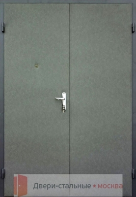 Тамбурная дверь DMP-018